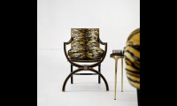 Macayla Mirrored Armchair