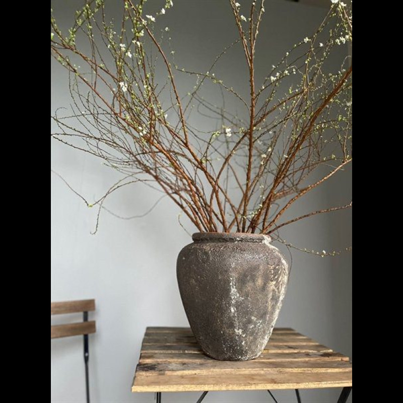 Chậu Atlantic Dáng Lùn/Nâu