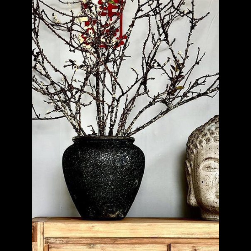 	Chậu Atlantic Dáng Lùn/Đen